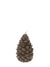 Bougie Pomme de pin