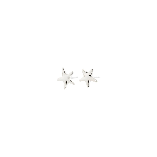 ANDRE silver-plated earrings