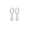 ELLIANA silver-plated earrings