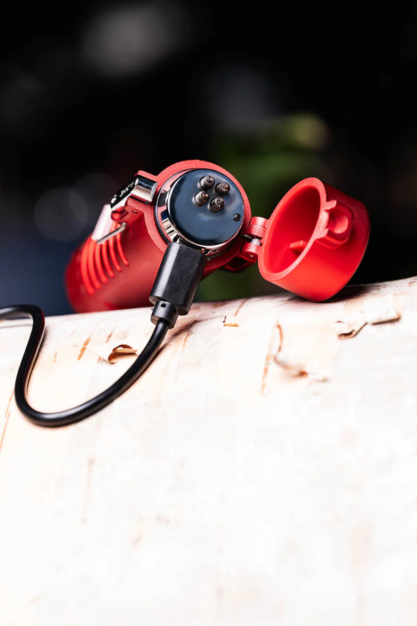 Briquet Survival