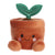 Terra Plante en Pot — Palm Pals Aurora