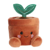 Terra Plante en Pot — Palm Pals Aurora