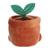 Terra Plante en Pot — Palm Pals Aurora