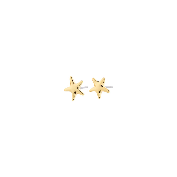 ANDRE gold-plated earrings