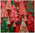 SERVIETTES SAPINS ROUGES 33 X 33 (12PCS/PACK)