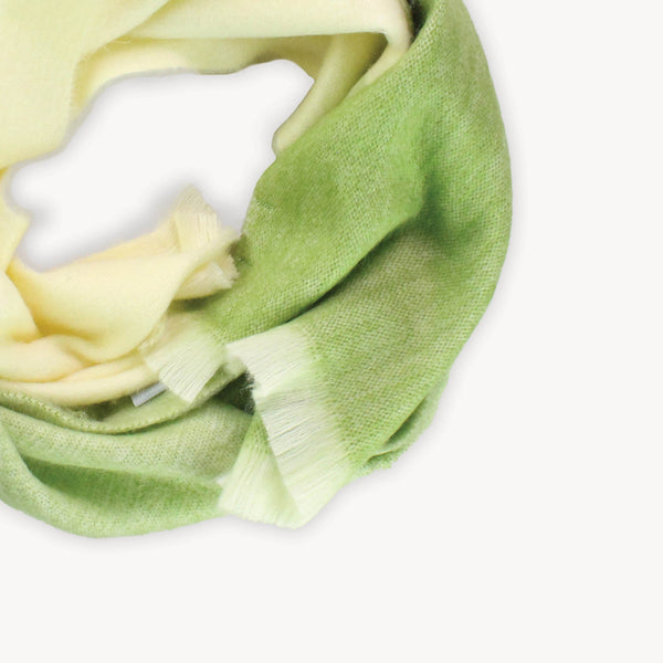 Écharpe Matcha en mélange d’alpaga – Dégradé – Pokoloko