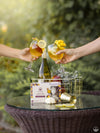 Bombes à Cocktail Sangria Passion et Mangue Poseidn