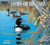 Calendrier mural LANG Loons on the Lake 2027 : couverture avec des plongeons sur un lac.