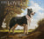 Calendrier mural LANG Love of Dogs 2027 : couverture avec un chien dans un paysage boisé.
