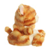 Meow Chaton — Palm Pals Aurora