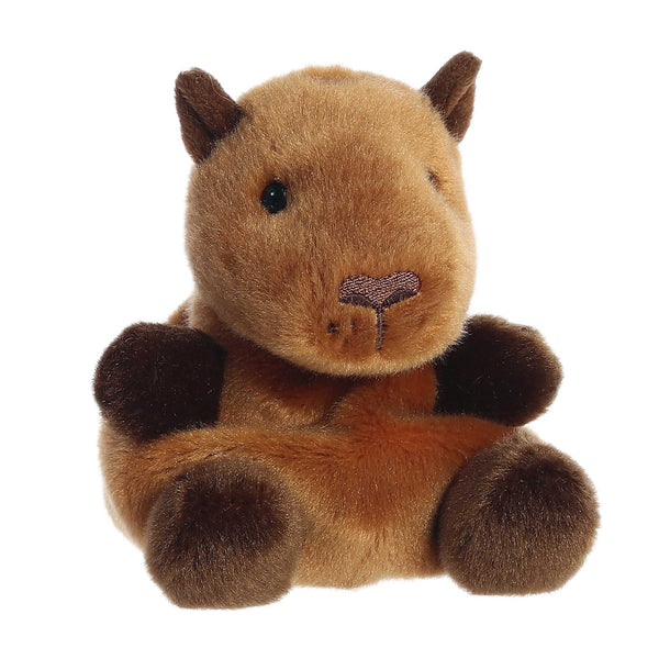 Sid Capybara — Palm Pals Aurora