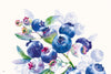 Napperon - Collection Bleuets