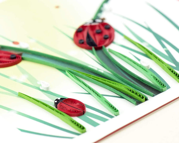 Carte de vœux coccinelle en papier roulé